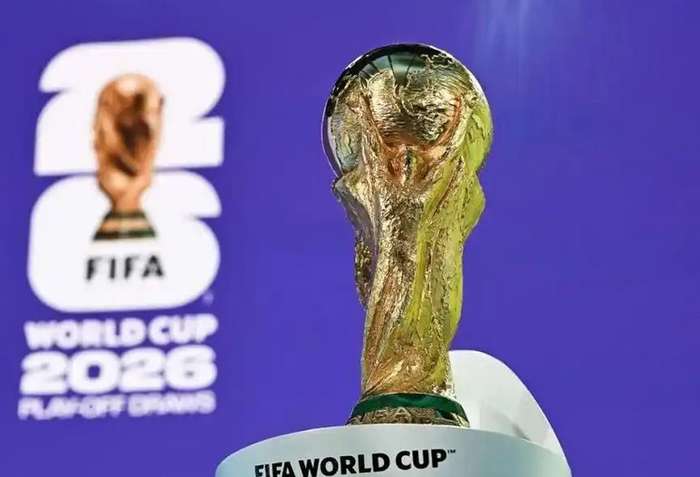 南非对韩国全场录像_南非对韩国录像回放_南非对韩国精彩集锦回放